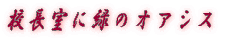 �Z�����ɗ΂̃I�A�V�X